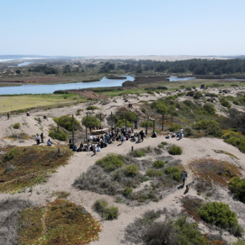 Captura de pantalla 2025-06-24 123926