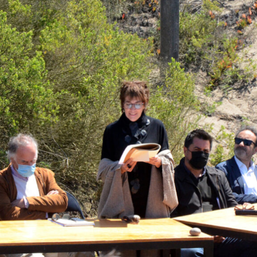 Captura de pantalla 2025-06-24 123949