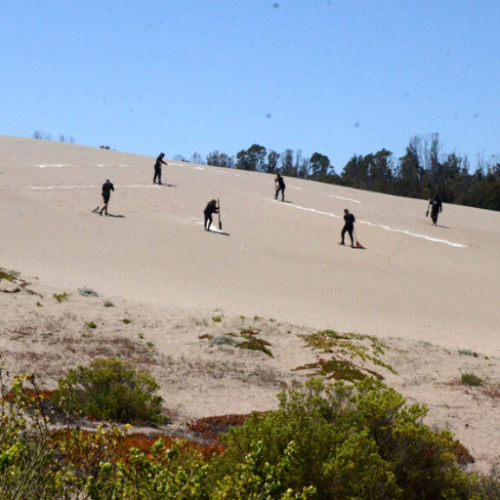 Captura de pantalla 2025-06-24 124026