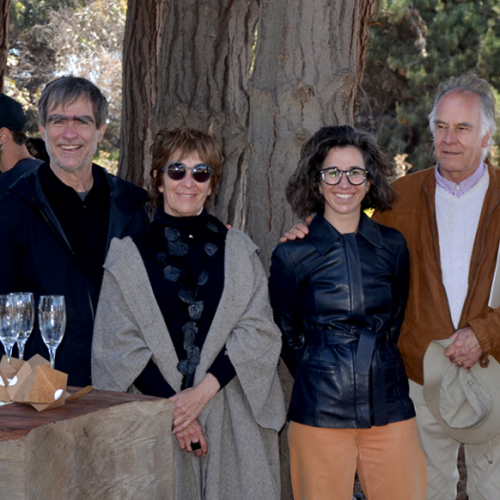 Captura de pantalla 2025-06-24 124050