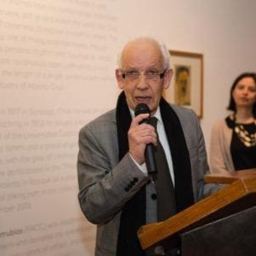 MAVI-Expo-Cruz-Fernando-Pérez-Oyarzún.